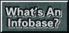 What is an Infobase?